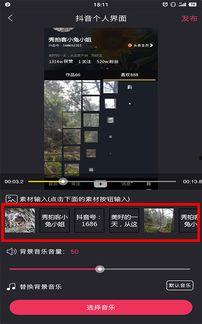 怎么用图片做成视频,轻松实现图片动画制作教程