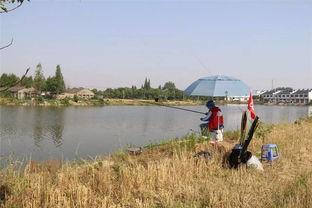 西瓜钓鱼视频,创意垂钓新体验，趣味盎然乐无穷